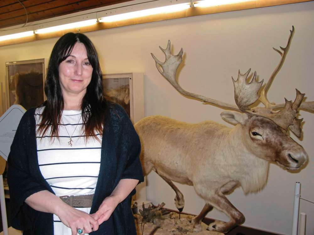 Andrea Geary
Fort la Reine Museum executive director and curator Tracey Turner stands next to a caribou that’s part of the Panache: Caribous and other Cervidae exhibition showing until Sept. 5.