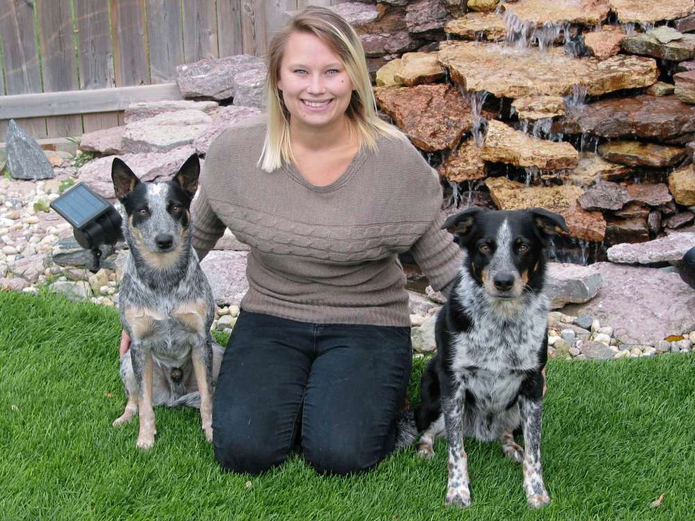 Andrea Geary
Headingley’s Melissa Zyzniewski, shown with her dogs Rambo (at left) and Benson, has opened B&R K9 Coaching to offer dog training, walking and pet sitting services for local pet owners.