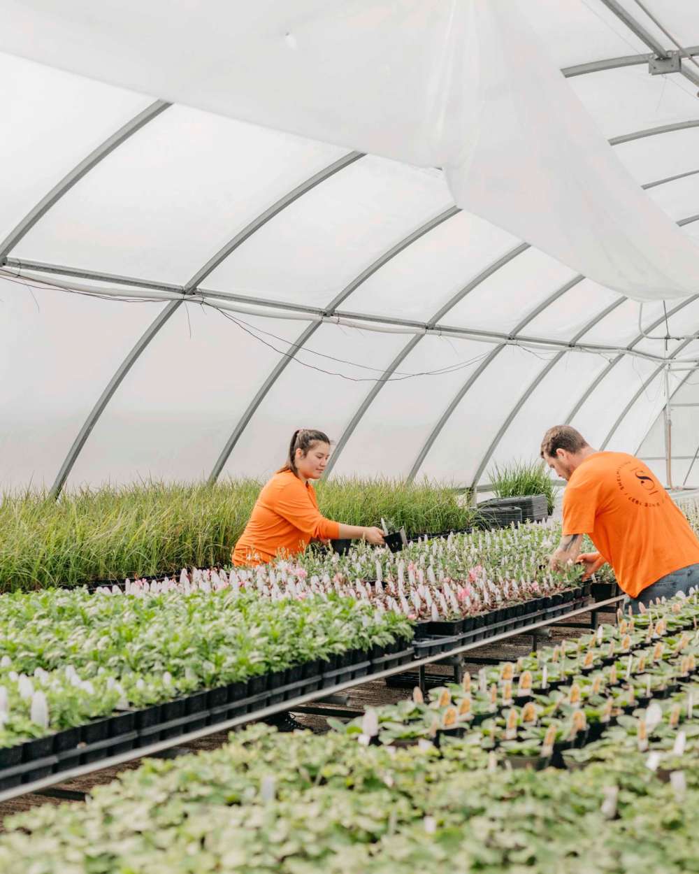 Garden centres prepare for spring Our Communities