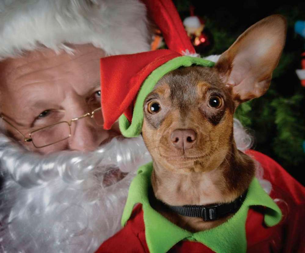 Bruce Allen Hendricks / Impact Photographic Design
Santa and his doggie helper, as photographed by Bruce Hendricks.