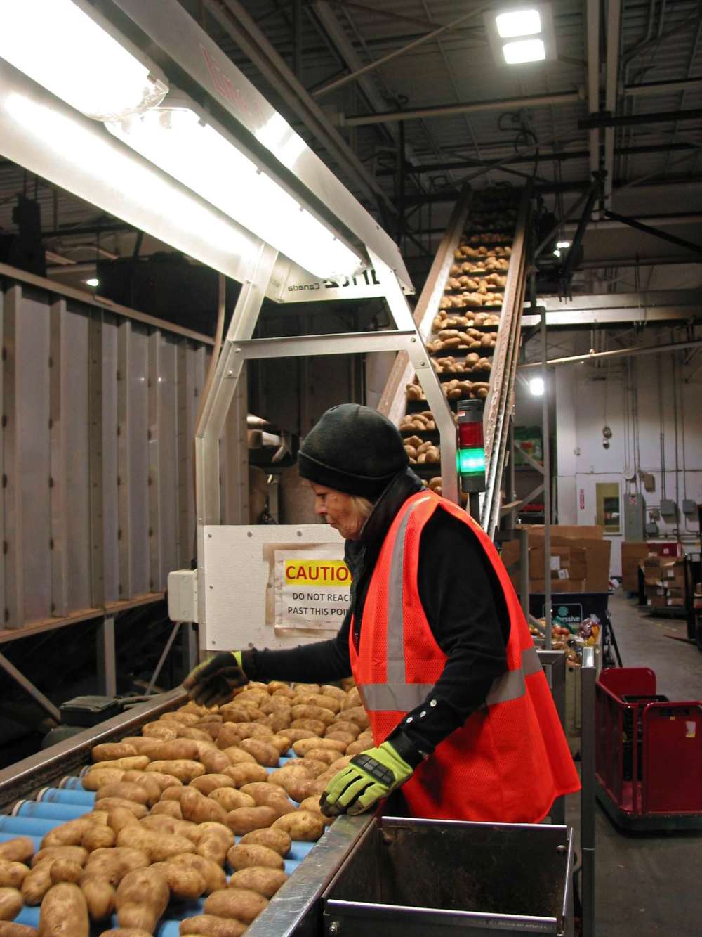 Andrea Geary
Potatoes are visually inspected as they pass along Peak of the Market’s packing line.