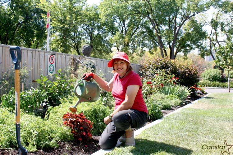Top prize just one more bloom in the garden Our Communities