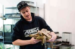 Alana Trachenko
Steve Rempel spends his time hanging out with a bunch of reptiles, such as this 18-year-old tortoise.