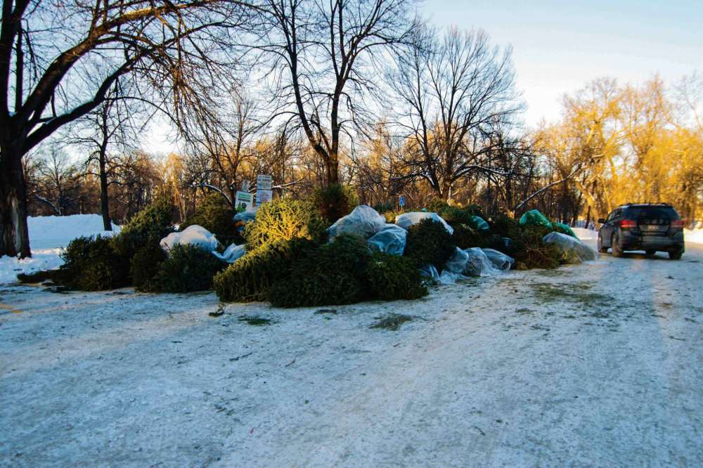 Donate your Christmas tree Our Communities