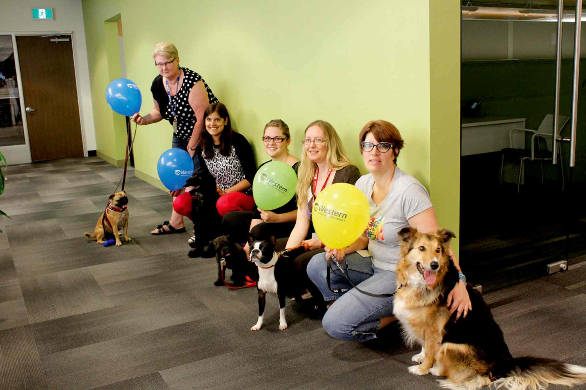 Dog day at the office Our Communities