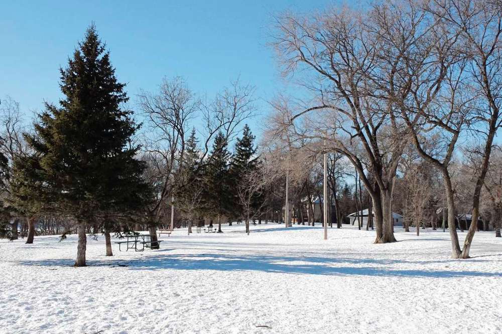 Jenny Gates
However it got its name, Bourkevale sure is a beautiful park.