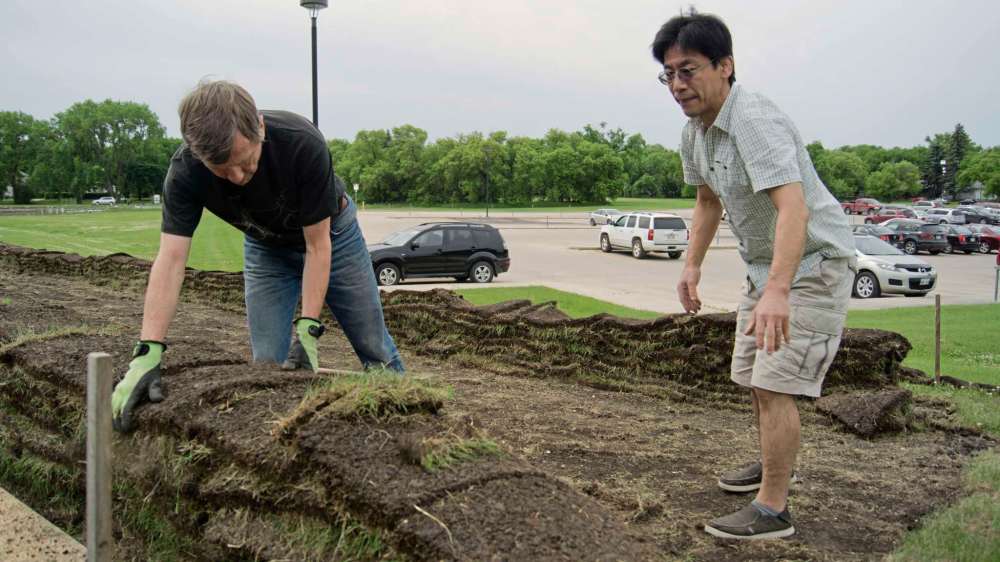Danielle Da Silva
Volunteers move sod into swales along Churchill Drive in Riverview. The city-owned land is being turned into an orchard by SSOCC as part of the Permaculture Commons.