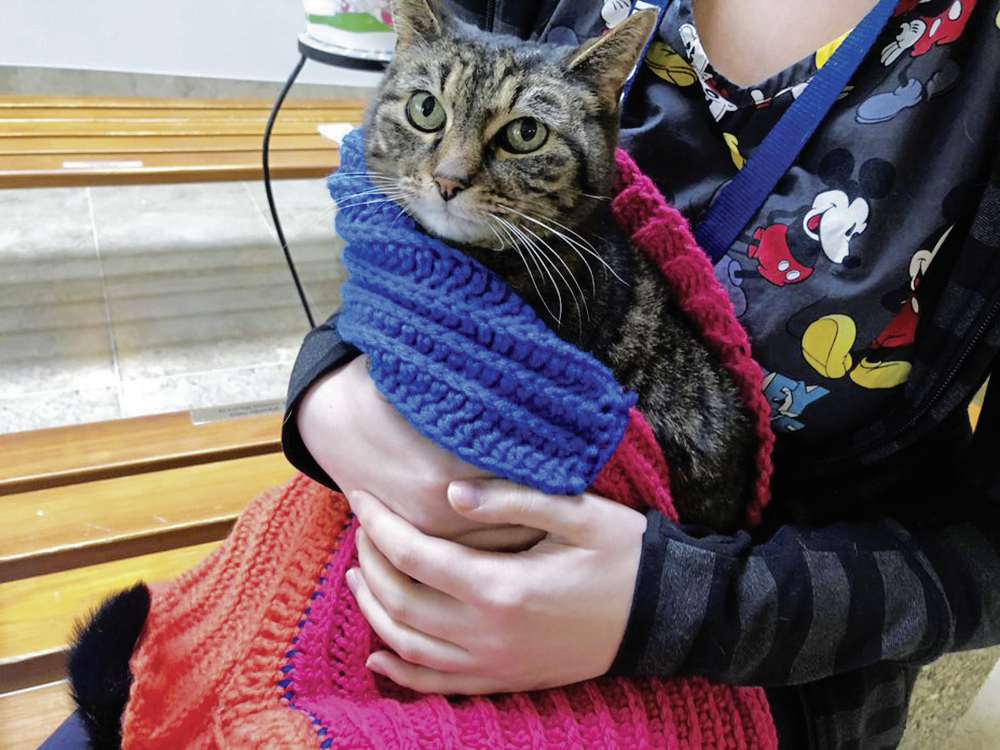 Adopted pets cuddle up in handmade blankets Our Communities