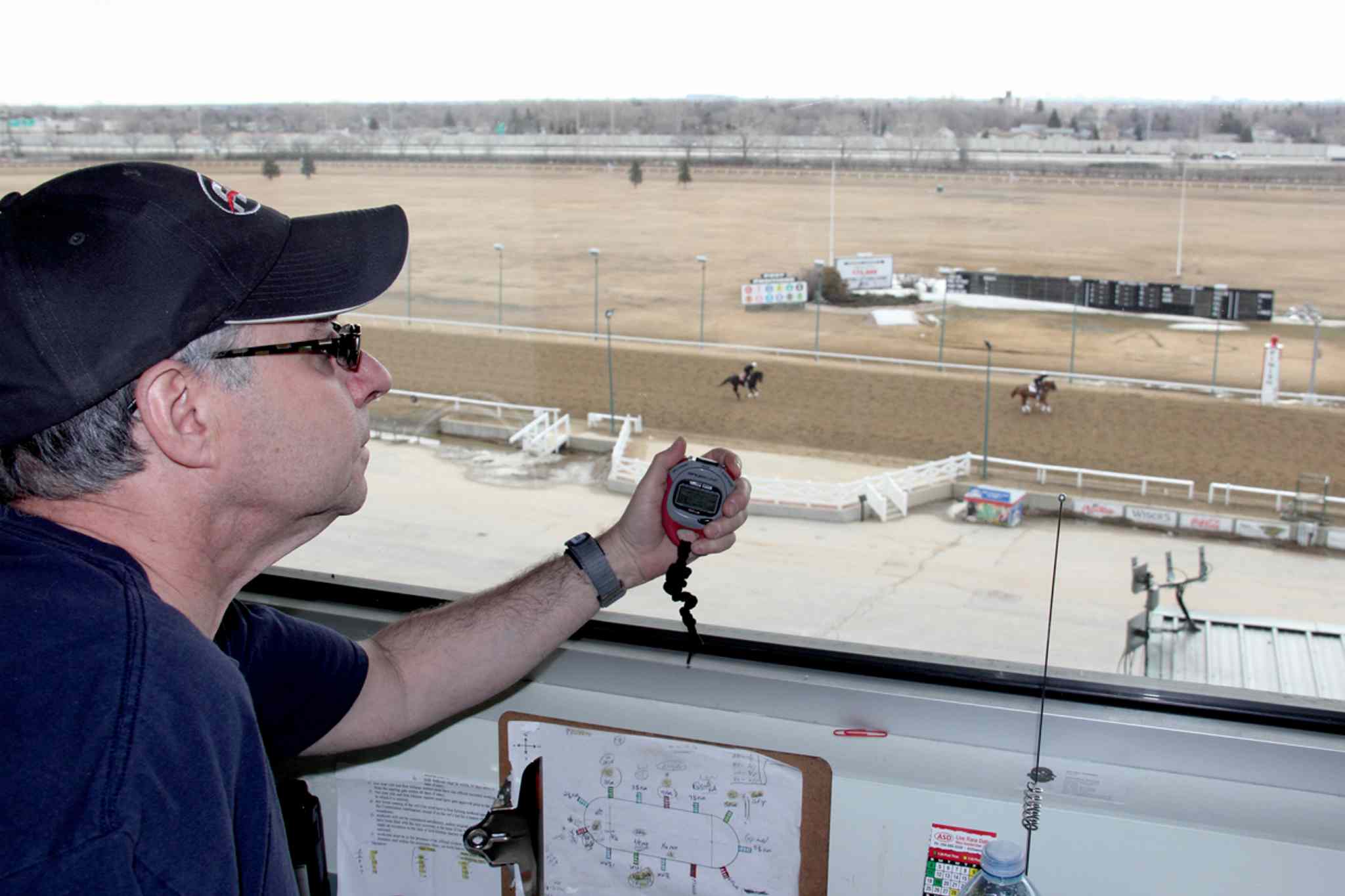 Horse with chewedoff tail favoured in Derby Our Communities
