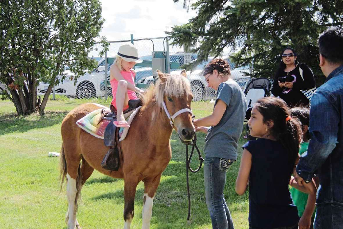 Lots of action on final six days of live racing – Our Communities