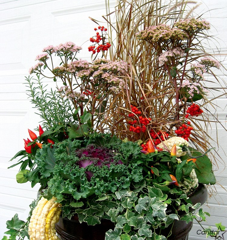 Assembling your fall containers – Our Communities