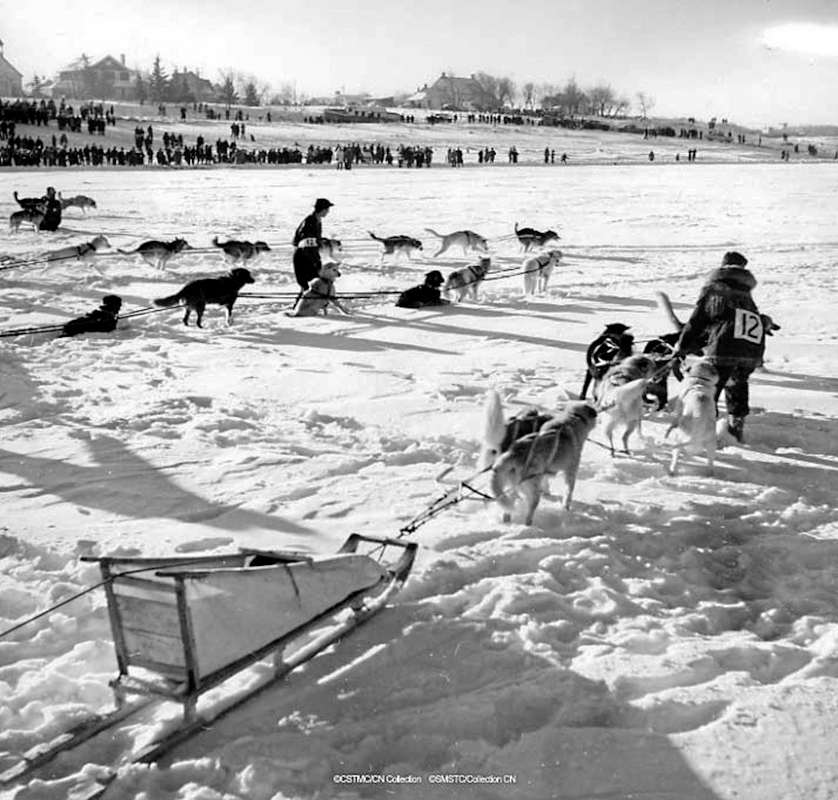 Supplied photo 
This year’s version of the Northern Manitoba Trappers’ Festival will be a virtual event, minus the sled dog race that has been a staple of the festival since 1948.