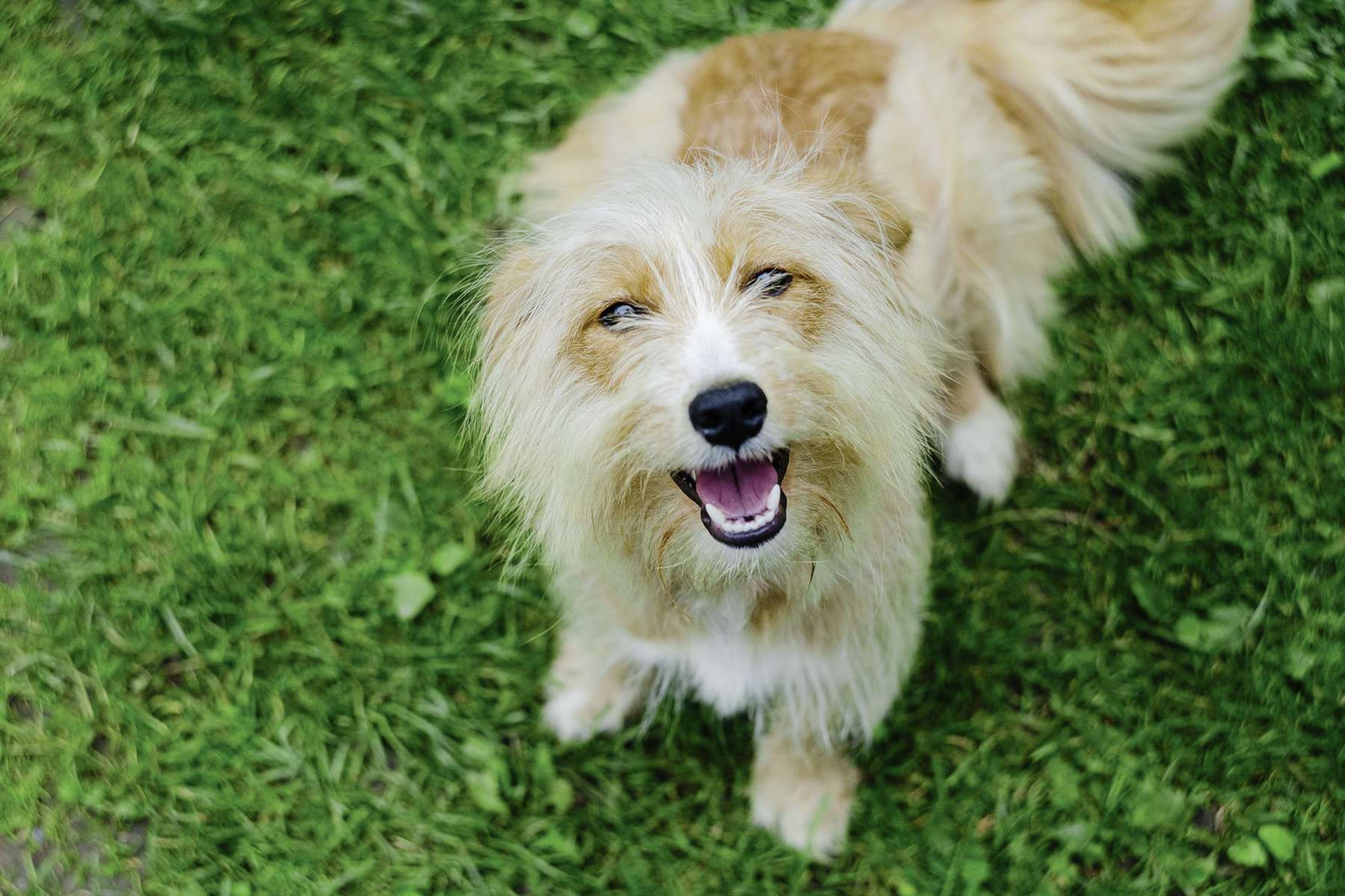 Training, water can keep your lawn green Our Communities