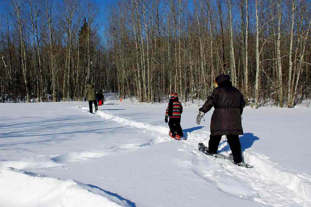 Photo by RoseAnna Schick
Gliding along Hecla Island’s many groomed skiing trails is just one of the many great winter activities to be enjoyed there.