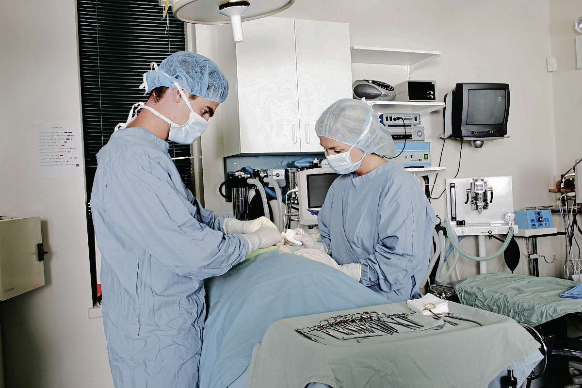 Be ready for cost of veterinary emergencies Our Communities