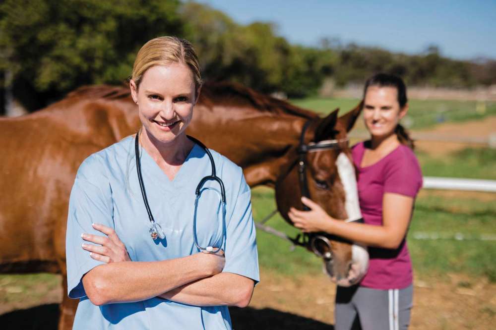Does your horse need bloodwork? Our Communities