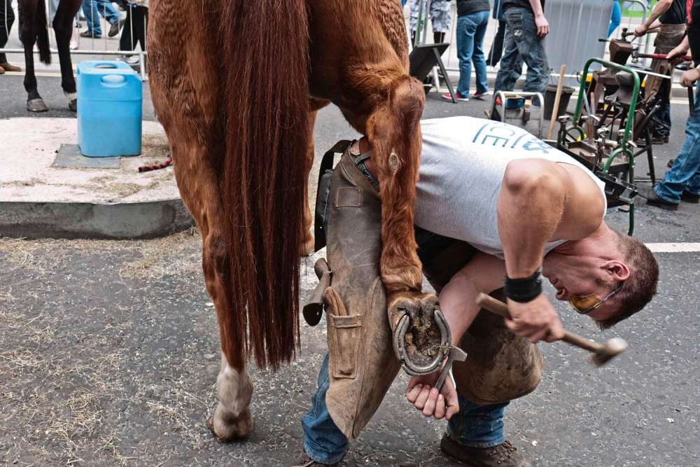 Assessing Sources Of Lameness In Your Horse Our Communities