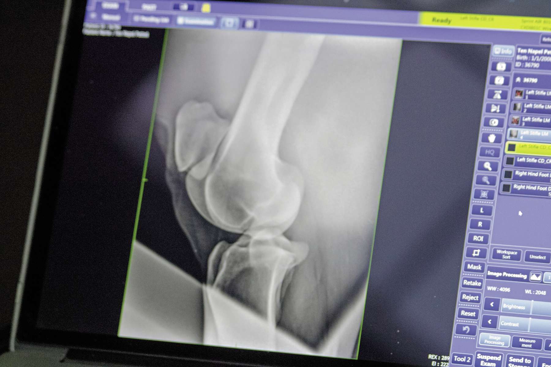 What to know about Xrays and your horse Our Communities