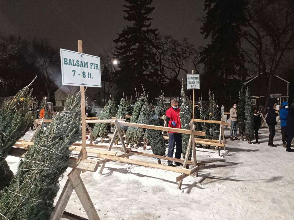 Scouts set Xmas tree sales record Our Communities