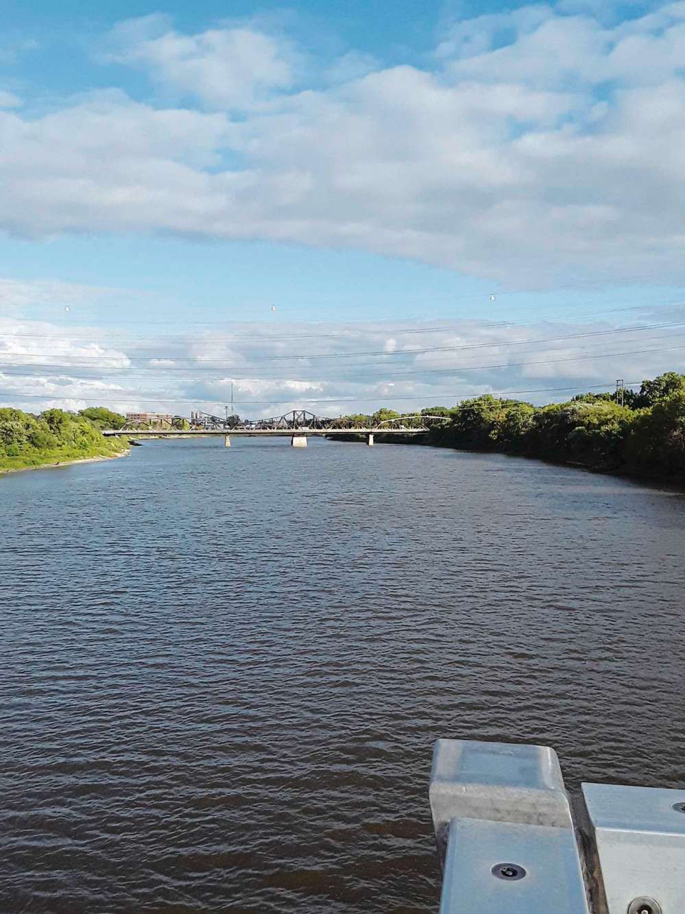 Photo by Shirley Kowalchuk
Correspondent Shirley Kowalchuk first saw the Red River swimmer in the water halfway between the Disraeli Active Transportation Bridge and the Louise Bridge (in the distance).