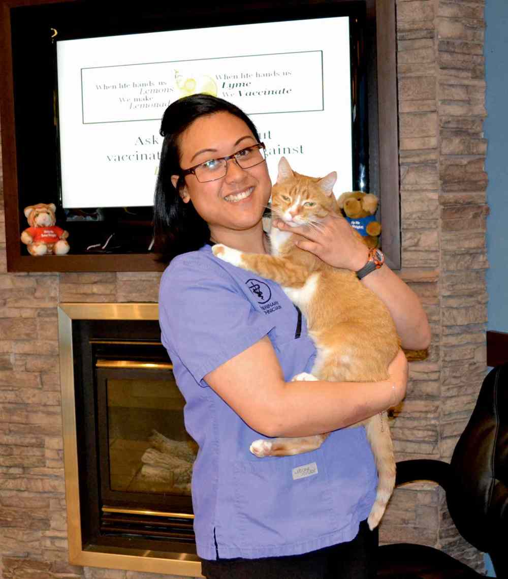 Helen Lepp Friesen
Trish Lobaton shows off Mirza, the feline mascot of the Fort Garry Veterinary Hospital.