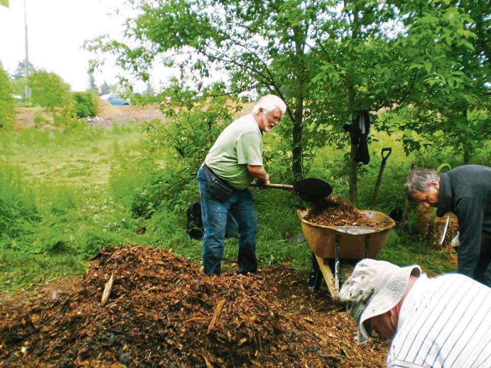 Sou'wester
Rod Kueneman and others load a wheelbarrow with wood chips while planting the South Osborne River Garden on June 26.