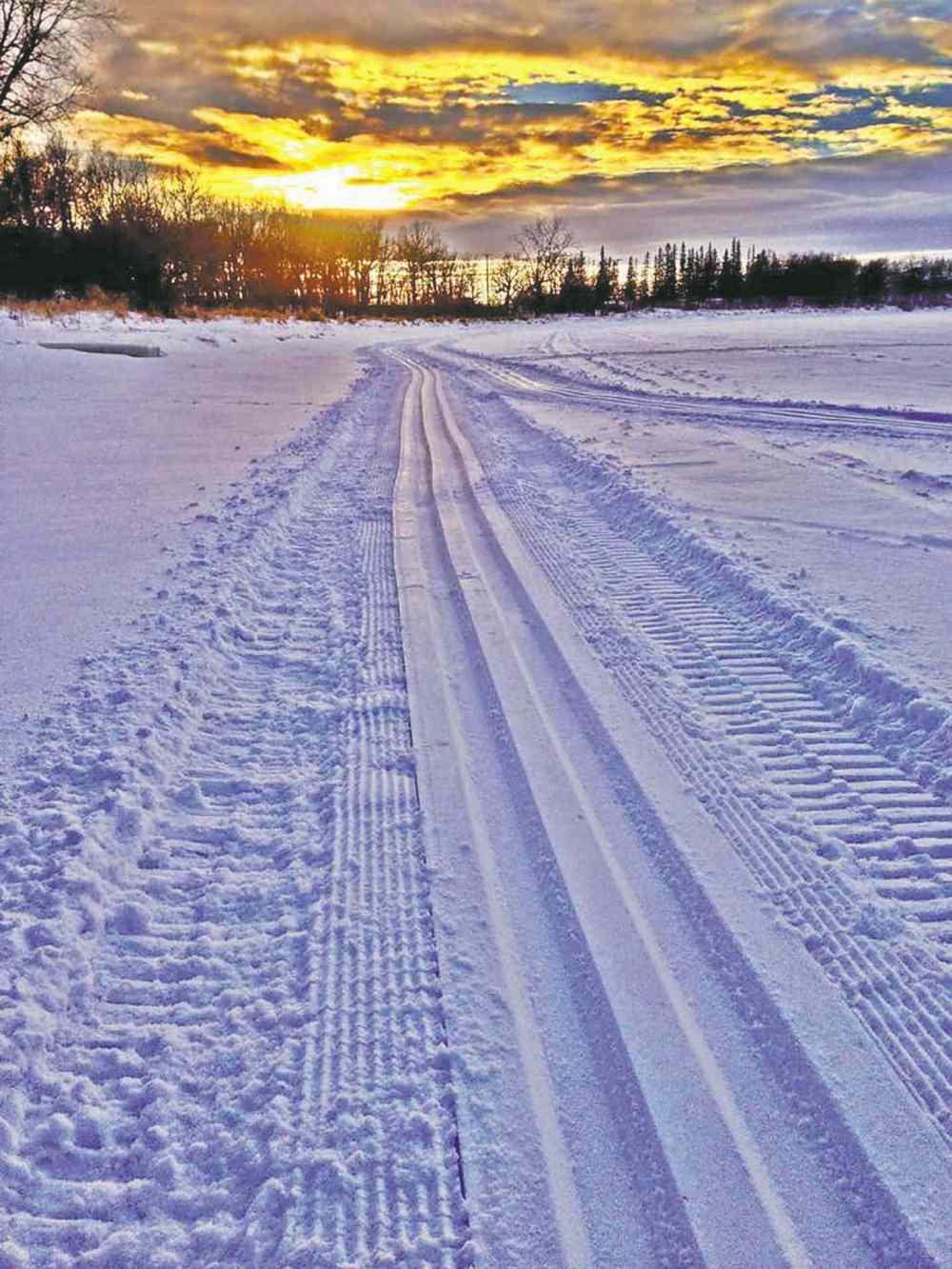 Headingley skiers get a new crosscountry trail Our Communities