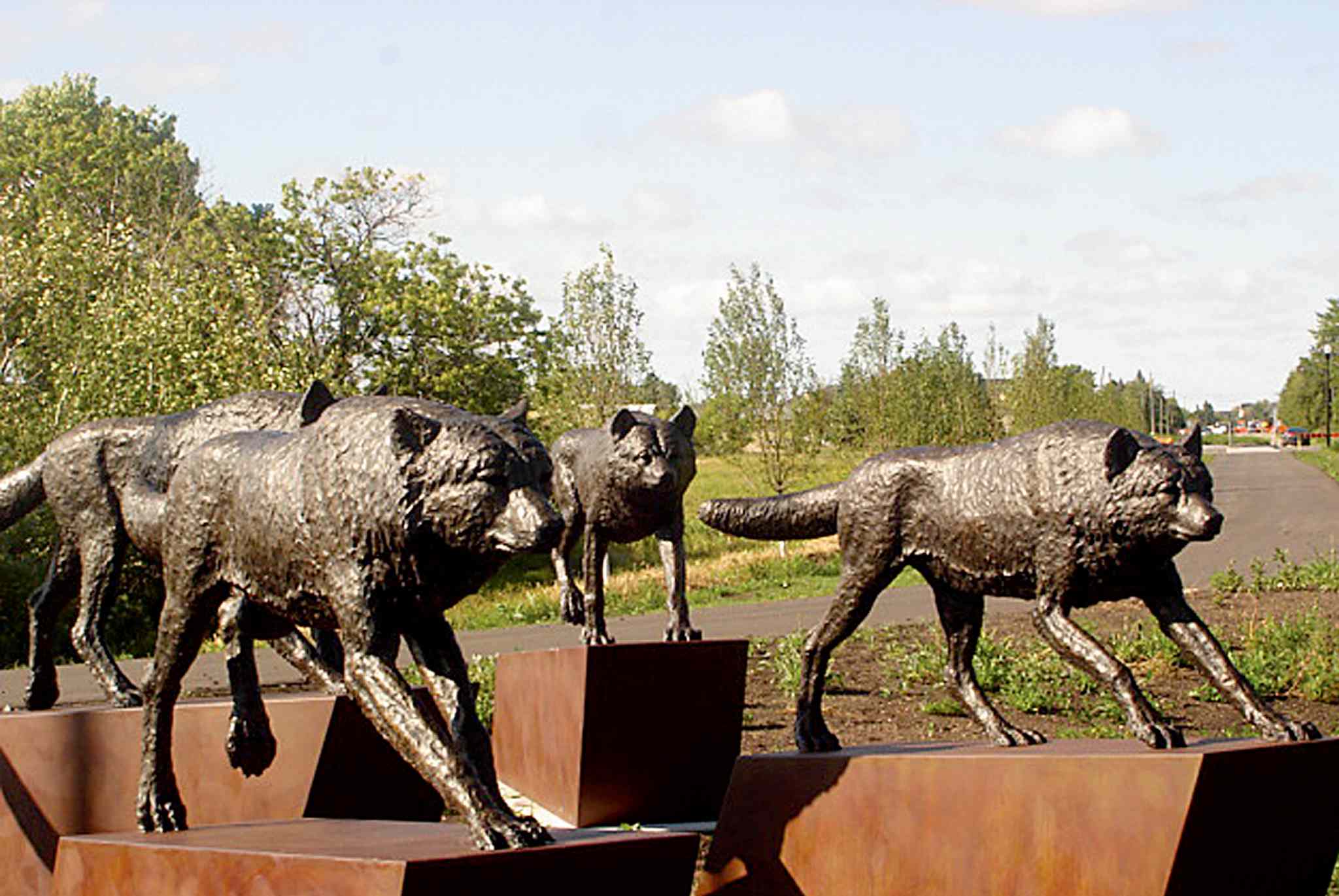 Henderson wolves should be moved – Our Communities