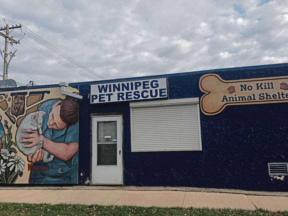 Get in the Christmas spirit at pet rescue Our Communities