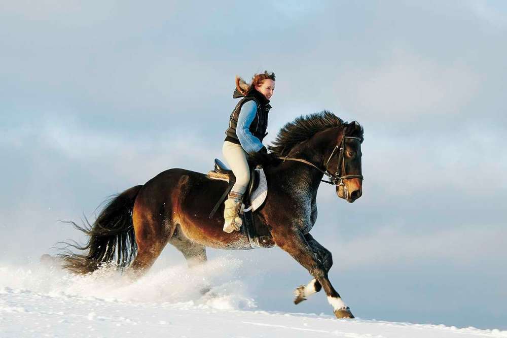 Snow Riding Name Be safe when trail riding in the snow – Our Communities