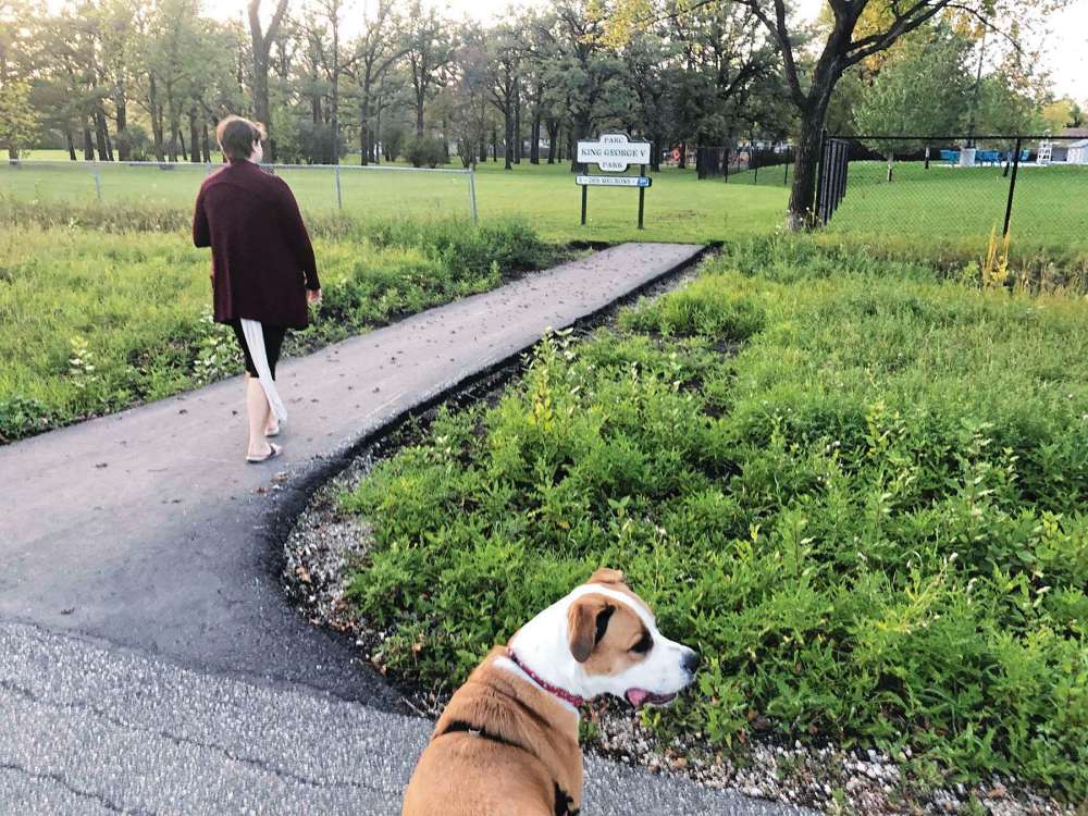 Miller Avenue Off-leash Dog Park