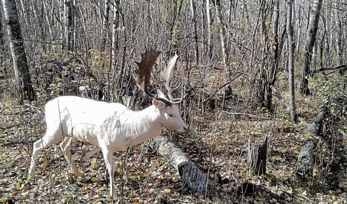 Deer Meadow Farms a great destination Our Communities