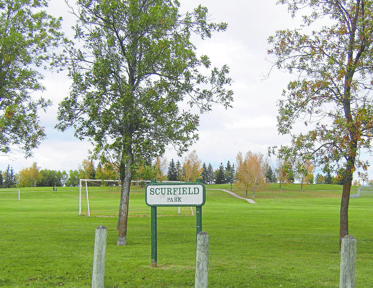 Whyte Ridge Park The origins of Whyte Ridge’s park names – Our Communities