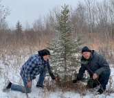 Supplied
Coun. Jason Schreyer (Elmwood-East Kildonan) and Elmwood MLA Jim Maloway looking for Christmas trees.