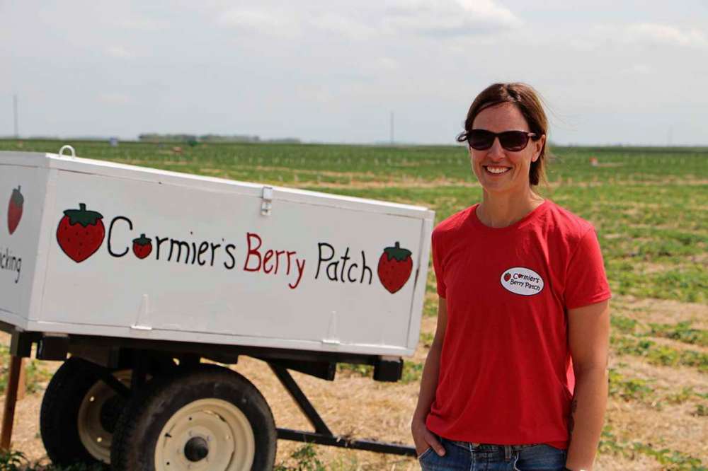 Farmers face strawberry shortage Our Communities Farmers face strawberry shortage Our Communities