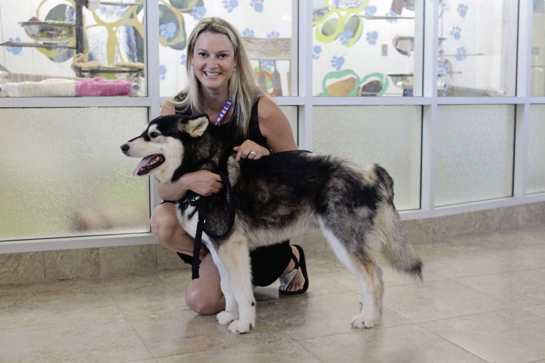 winnipeg-humane-society-nearly-at-capacity-our-communities