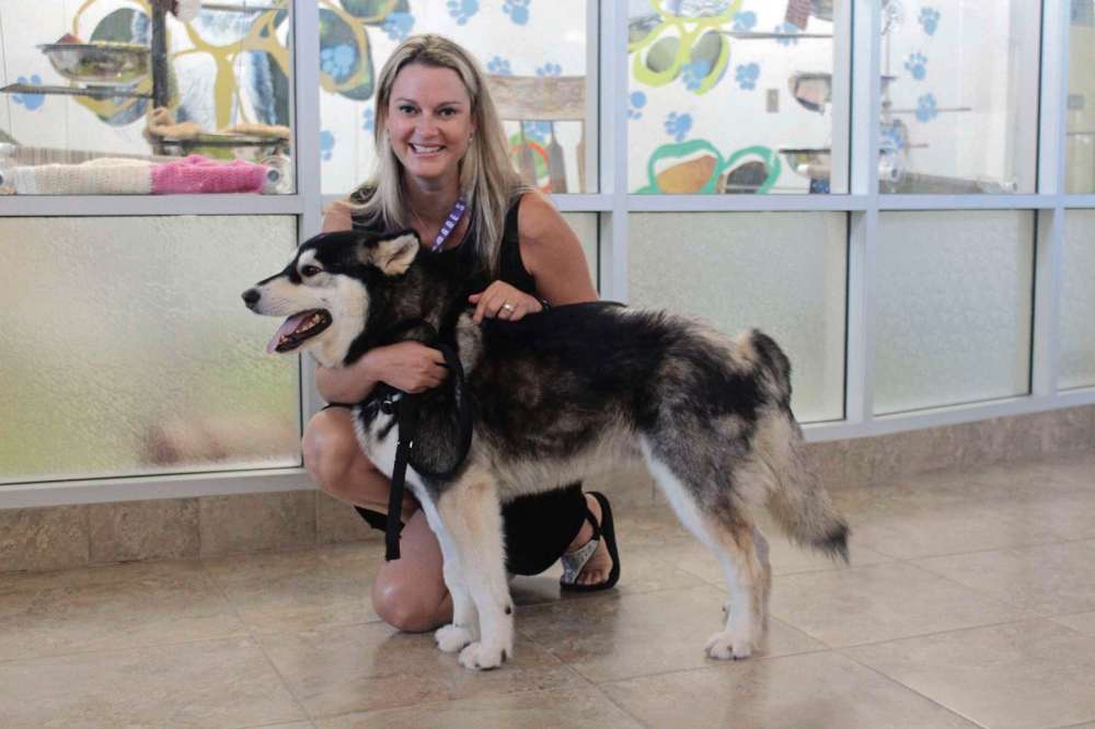 winnipeg-humane-society-nearly-at-capacity-our-communities