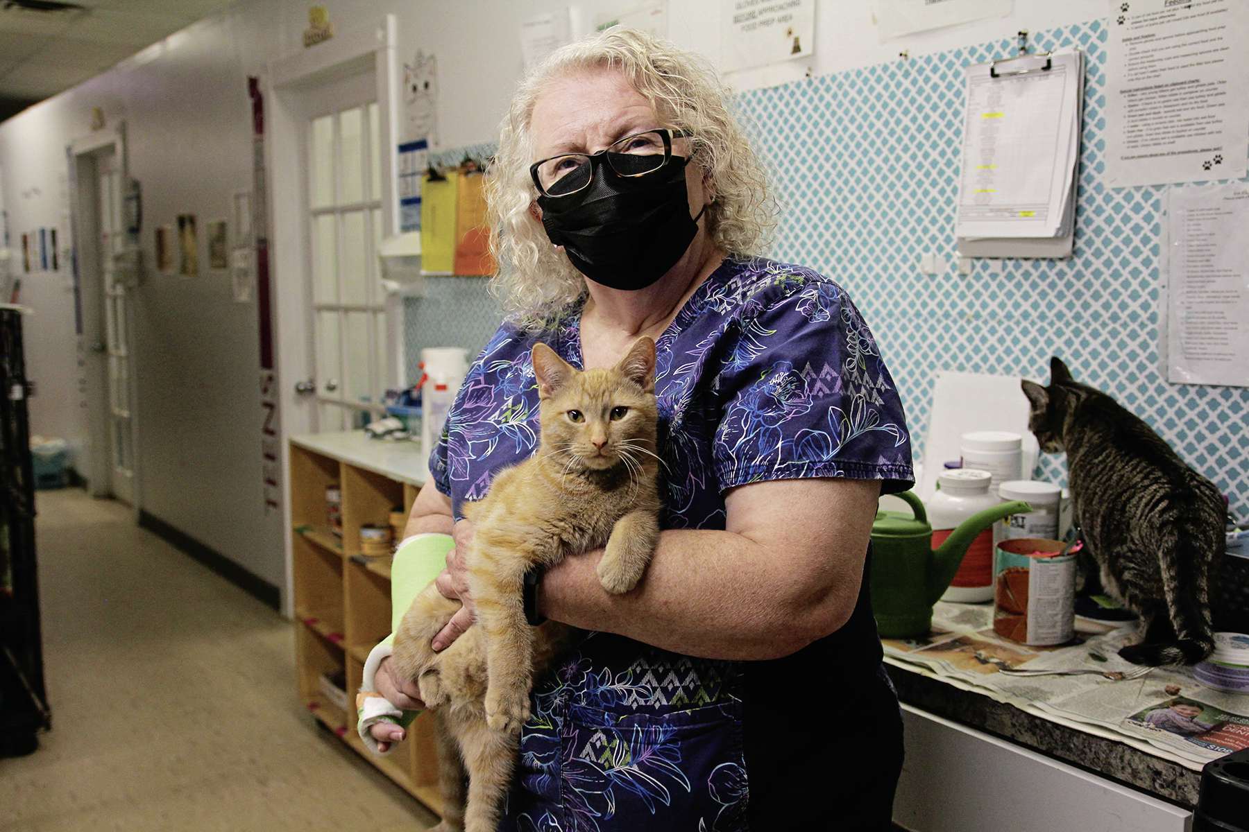 City reviews pet ownership bylaw Our Communities