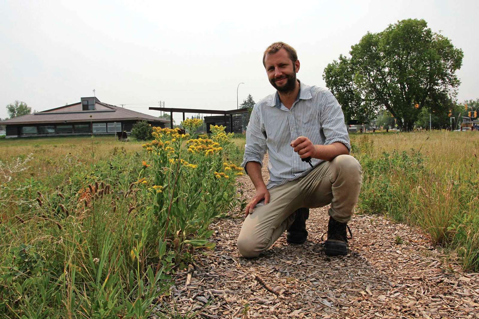 Summer lives on at urban prairie preserve – Our Communities