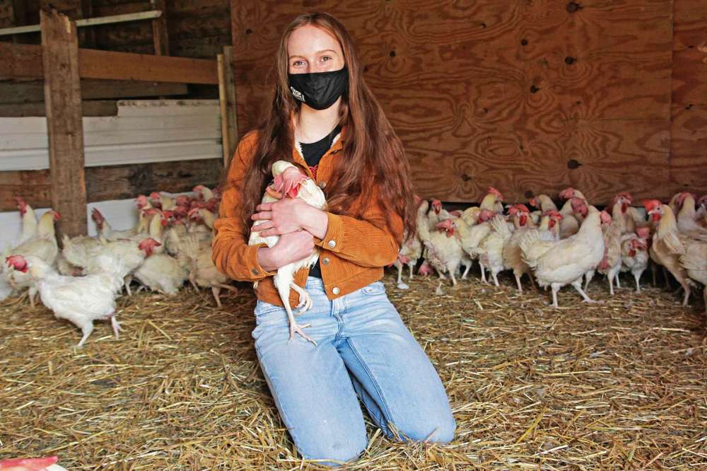 Photo by Katlyn Streilein
Jessica Walker holds one of approximately 1700 hens The Little Red Barn Micro Sanctuary rescued in May. Walker’s research project on how interacting with animals affects dietary choices earned her a spot at a national science fair in April 2021.