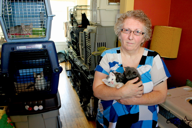 Cat rescue looking to expand Our Communities