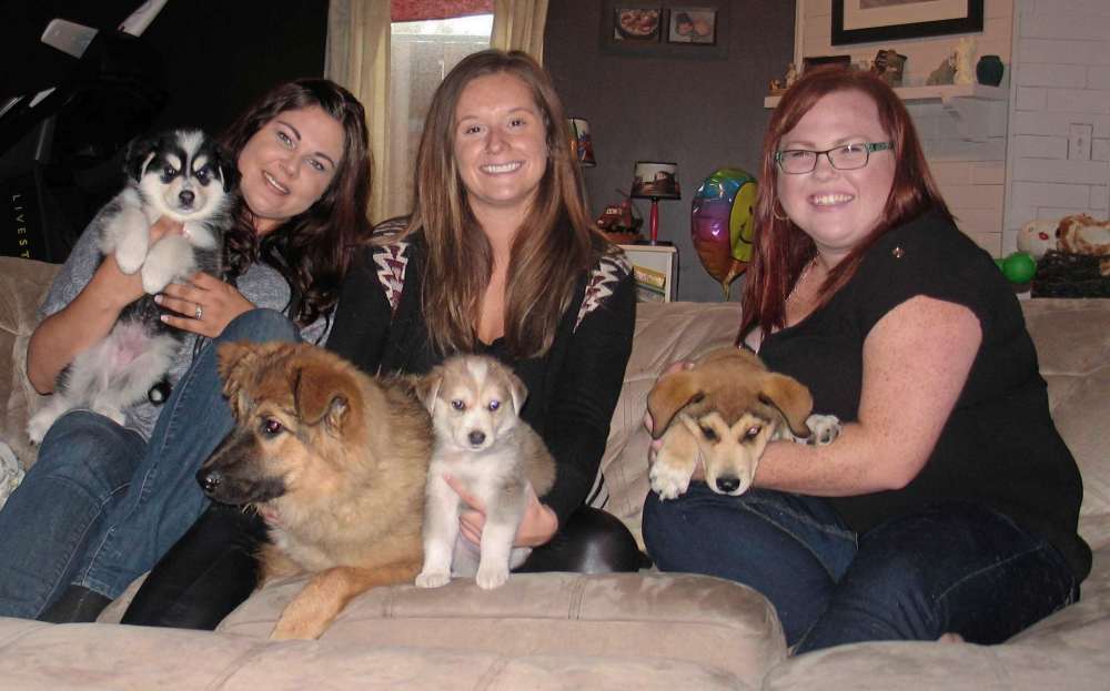 Dogs get the CAARE they need – Our Communities