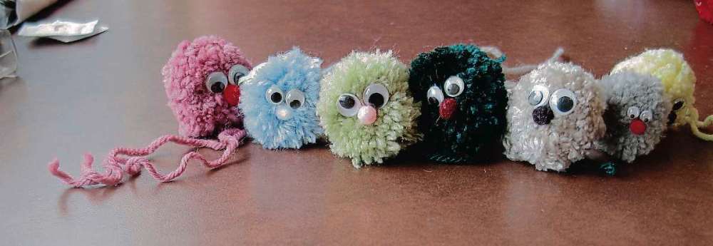 Sheldon Birnie
Yarn crafts for kids from Aunt Monica's Attic. (SHELDON BIRNIE/CANSTAR/THE HERALD)