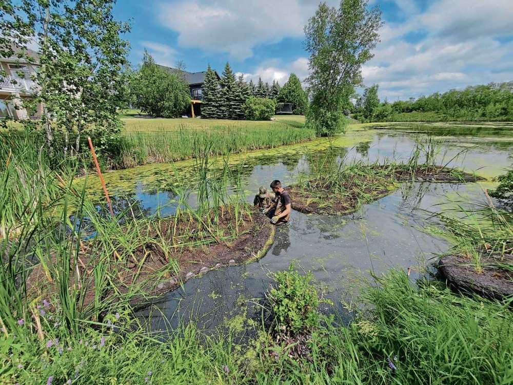 Supplied photo
Earlier this month, Richard Grosshans (left) lead researchers from the International Institute for Sustainable Development installing temporary floating wetlands in two retention ponds in East St. Paul.