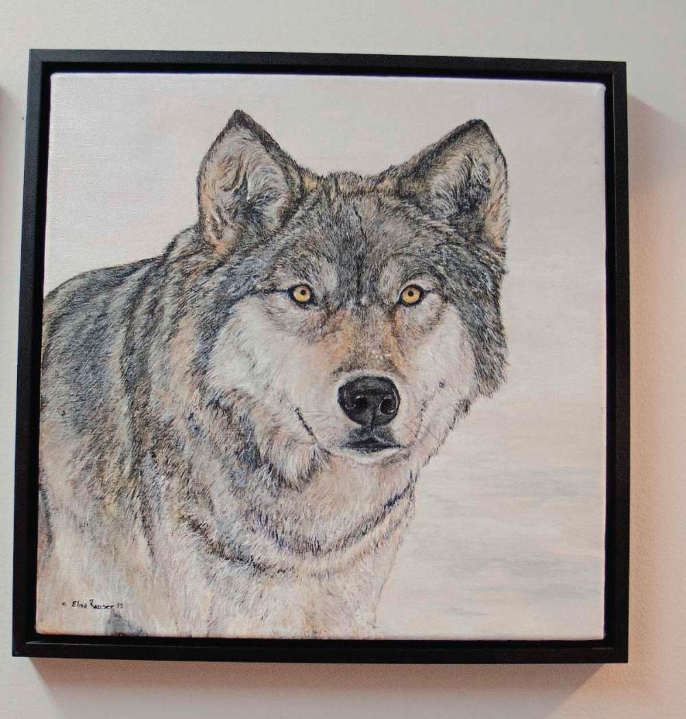 Sheldon Birnie
Wolves are one of Elma Rauser's favourite subjects to paint. (SHELDON BIRNIE/CANSTAR/THE HERALD)