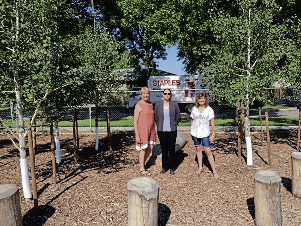 Wayoata School adds more trees – Our Communities