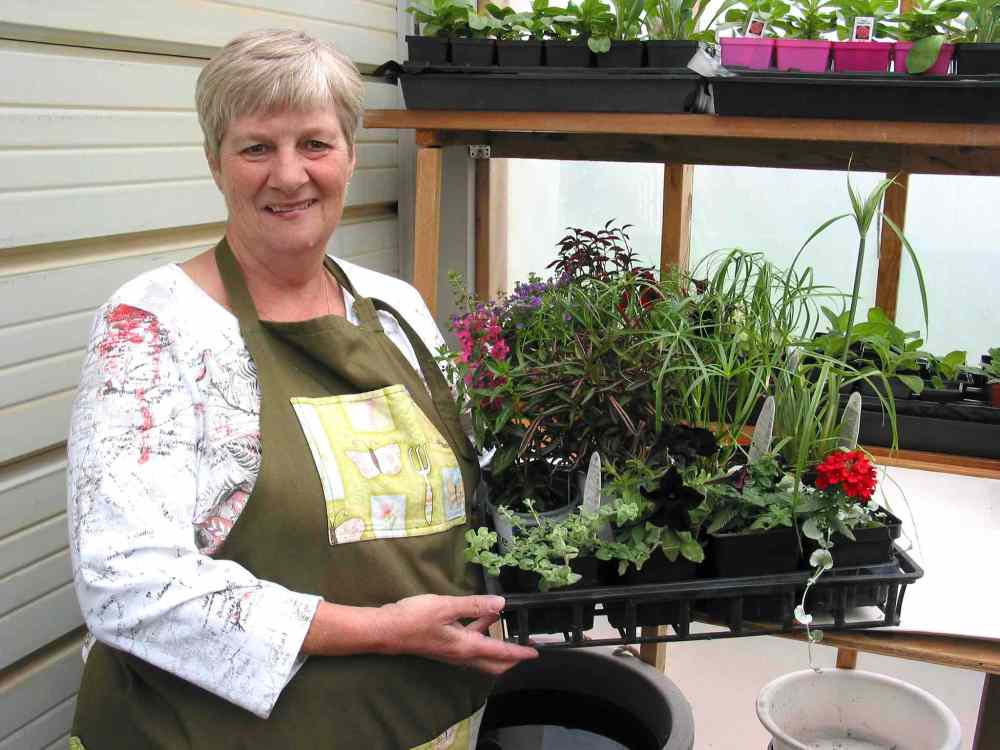 Fundraiser set to have a floral flavour Our Communities