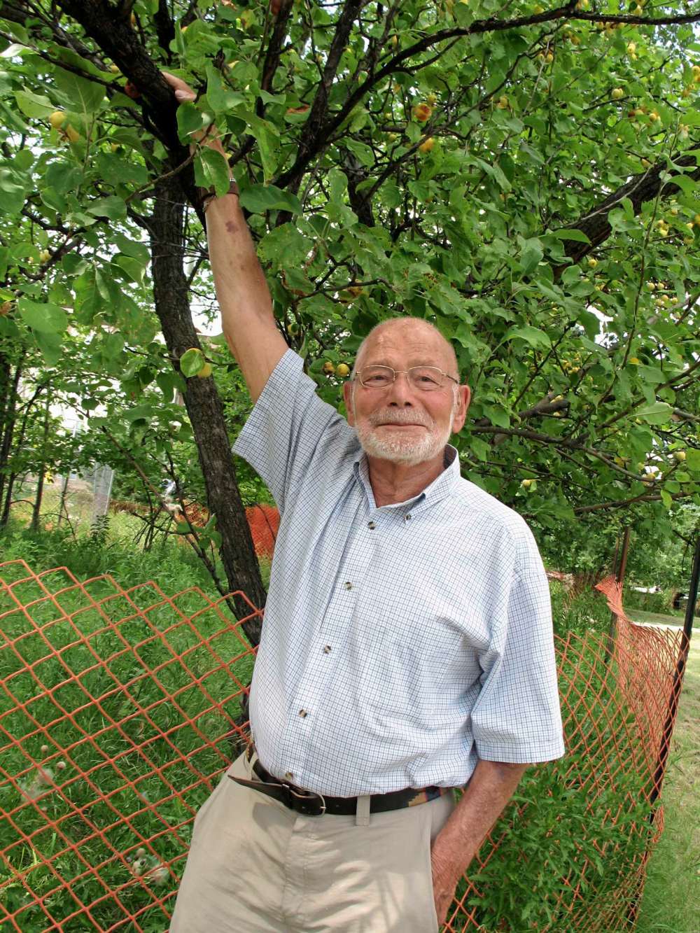 Simon Fuller
Yude Henteleff prepares to pick a crab apple from a tree planted by his grandfather 75 years ago at the site of his family’s former homestead that is now Henteleff Park.