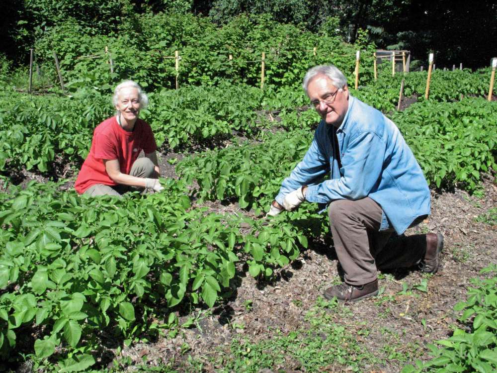 Riel House gardens take pride of place on tour – Our Communities