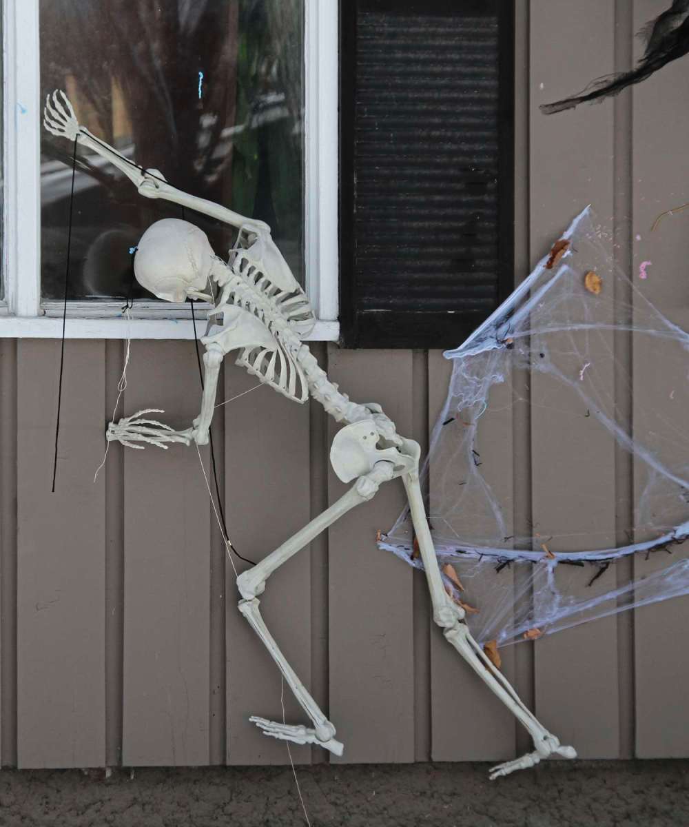 Sou'wester
Halloween decorations at a house on Borebank Street.
